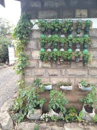 Old Bottles and Buckets_ Vertical Farming