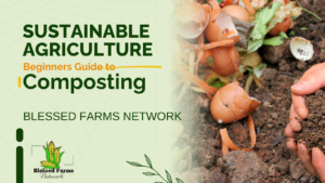 Beginners Guide to Composting